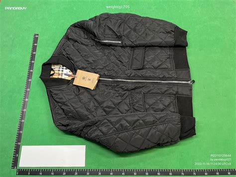 husky reps burberry